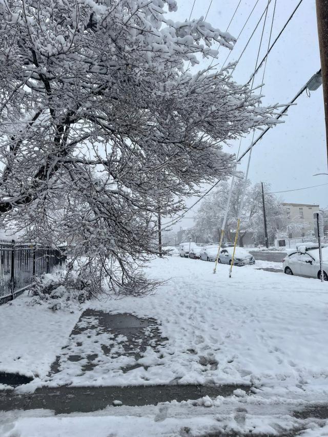 1646644680314001077.jpg 989.jpg