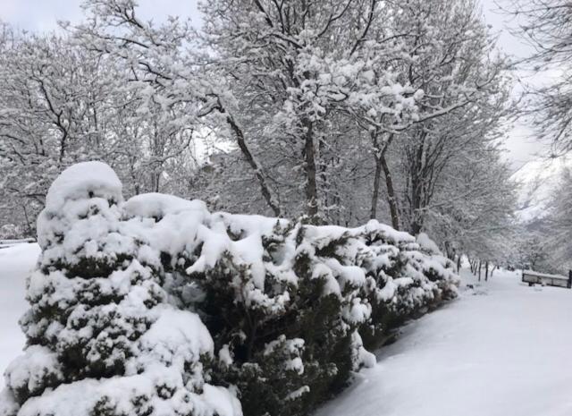 1646646699377012227.jpg 99.jpg