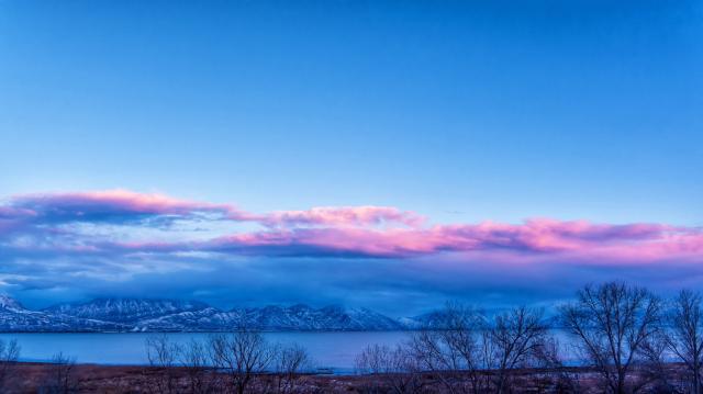 1646646748216044650.jpg 88.jpg